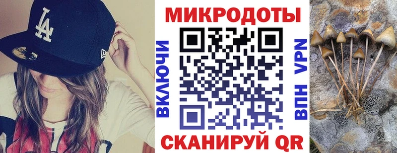 Псилоцибиновые грибы мухоморы  Димитровград 